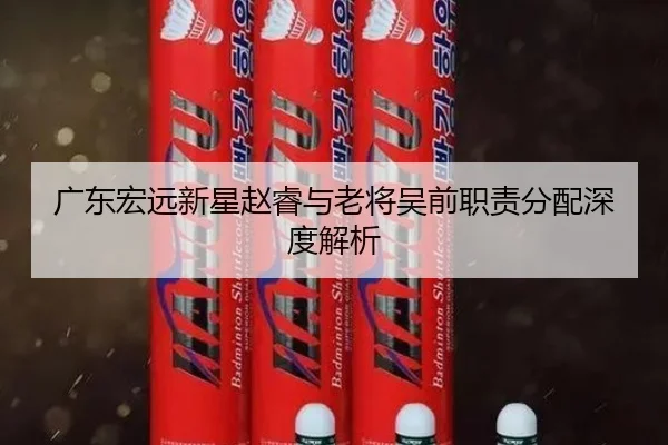 广东宏远新星赵睿与老将吴前职责分配深度解析 - pg