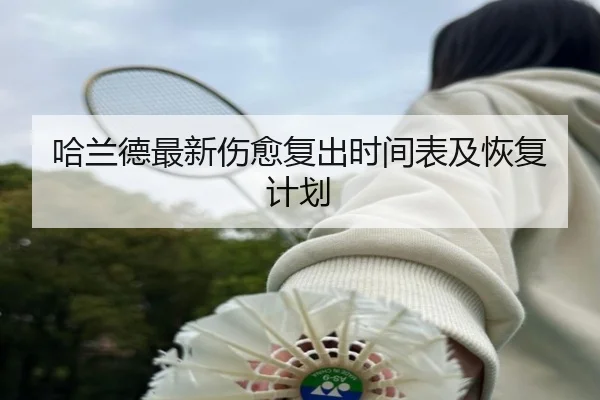 哈兰德最新伤愈复出时间表及恢复计划 | pg